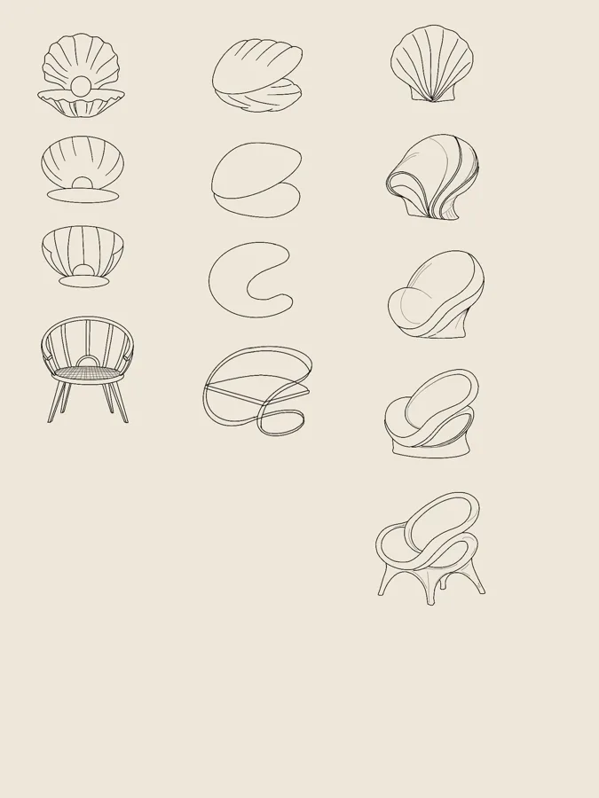 Line drawings of shells turning into chairs