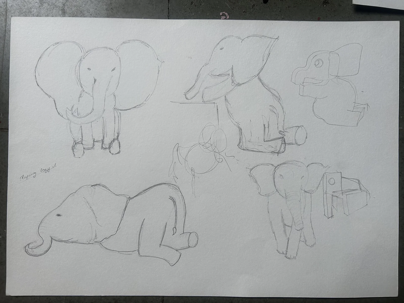A page of pencil sketches of elephants standing, sitting and lying