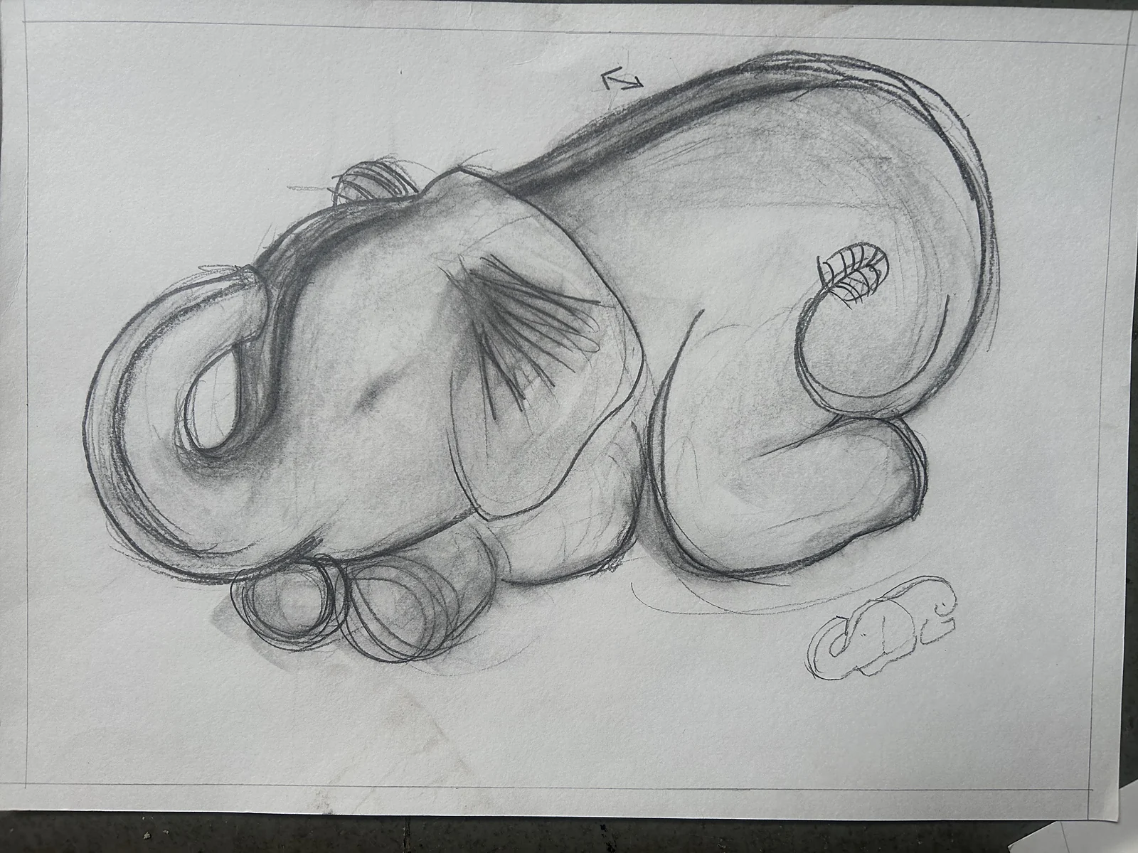 A shaded pencil study of the elephant lying down