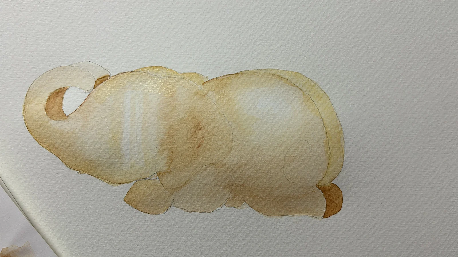 A light watercolour wash of the elephant
