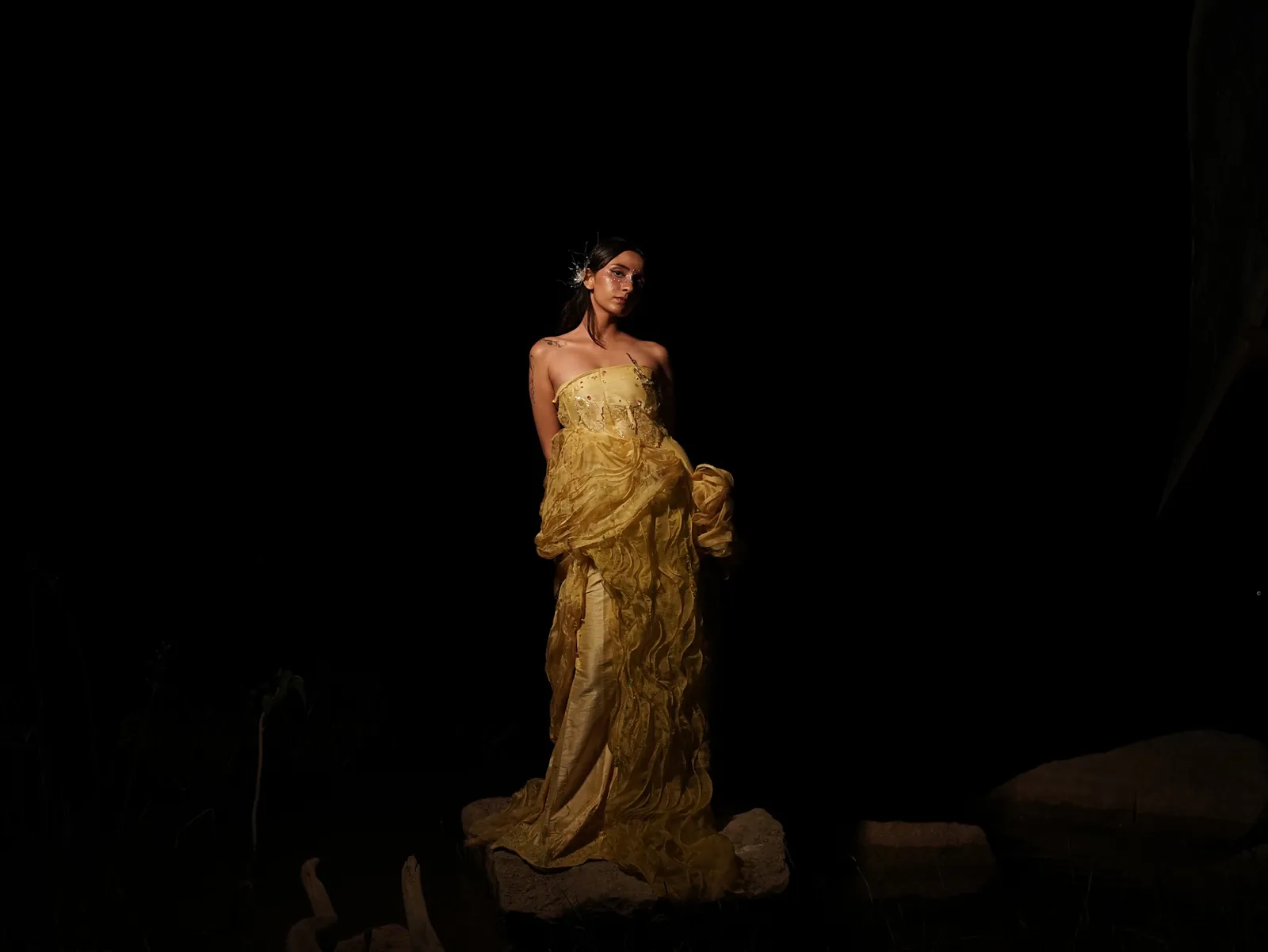 The yellow gown standing on a rock in the dark